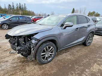 2021 Lexus NX JTJGARDZ0M2259300 Lot 77173345