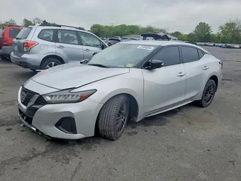 2019 Nissan Maxima 1N4AA6AV4KC368364