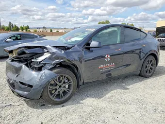 2024 Tesla Model Y 7SAYGDED1RF117797