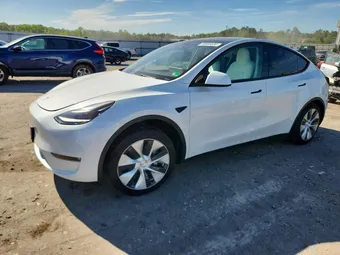 2023 Tesla Model Y 7SAYGDEE1PF802923 Lot 55568696