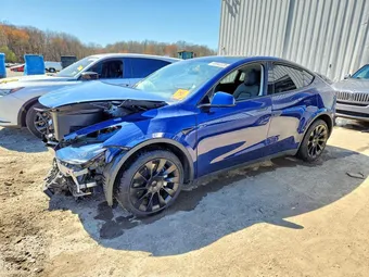 2023 Tesla Model Y 7SAYGDEE9PF648459 Lot 48942226