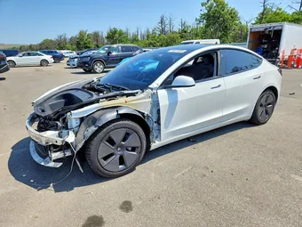 2021 Tesla Model 3 5YJ3E1EB3MF012987 Lot 59021856