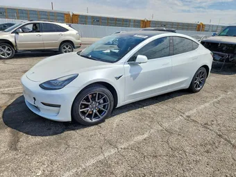 2020 Tesla Model 3 5YJ3E1EB0LF790808 Lot 59191806