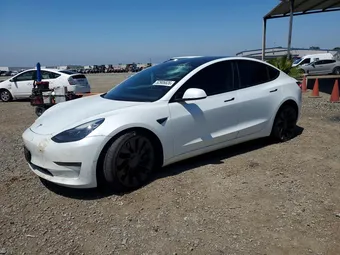2023 Tesla Model 3 5YJ3E1EC7PF503494 Lot 52906826