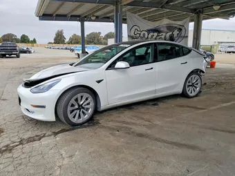 2021 Tesla Model 3 5YJ3E1EB7MF902246 Lot 57692426