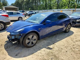 2021 Tesla Model 3 5YJ3E1EA7MF030481 Lot 54073116