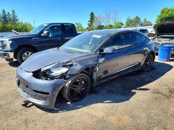2023 Tesla Model 3 5YJ3E1EA8PF396938 Lot 56295726