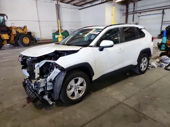 2019 Toyota RAV4 JTMW1RFV5KD016981 Lot 61053756