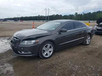 2015 Volkswagen CC WVWBP7AN7FE813791
