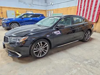 2019 Acura TLX 19UUB3F42KA003178