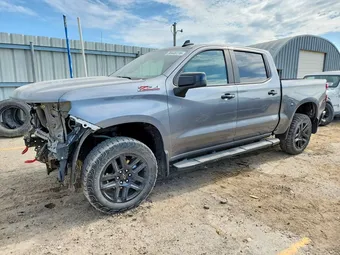 2022 Chevrolet Silverado 1500 1GCPYFEL4NZ203490 Lot 58446116