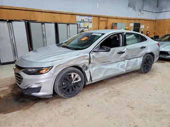 2019 Chevrolet Malibu 1G1ZD5ST3KF117869 Lot 53812496