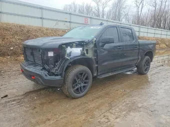 2025 Chevrolet Silverado 1500 3GCUKFED2SG242894 Lot 79525045