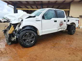 2019 Ford F-150 1FTFW1E53KKD03672 Lot 55504266
