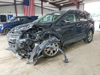 2016 Ford Escape 1FMCU9JX1GUB93081 Lot 59538156