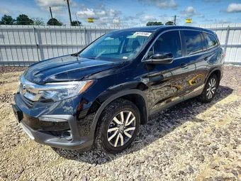 2019 Honda Pilot 5FNYF5H53KB044304 Lot 54174146