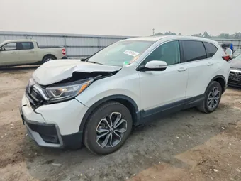 2020 Honda CR-V 5J6RW2H52LL014237 Lot 61395166