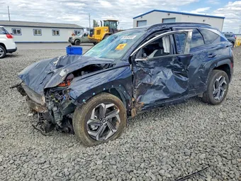 2024 Hyundai Tucson KM8JECD17RU165250 Lot 56354806