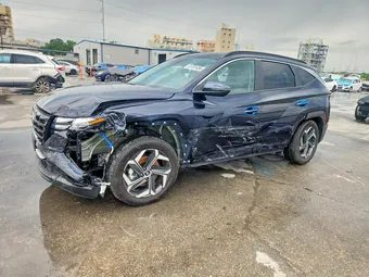 2024 Hyundai Tucson KM8JCCD11RU224766 Lot 51761456
