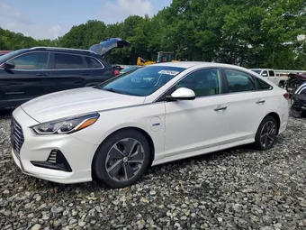 2019 Hyundai Sonata Hybrid KMHE14L2XKA093996 Lot 62250546