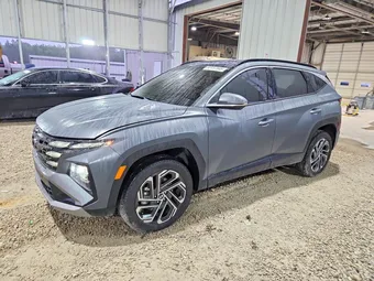 2025 Hyundai Tucson 5NMJECDE2SH512665 Lot 52457946