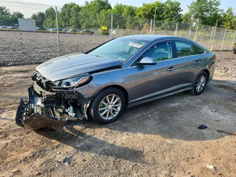 2019 Hyundai Sonata 5NPE24AF2KH782253 Lot 58831496