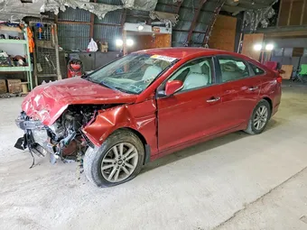 2015 Hyundai Sonata 5NPE24AAXFH115506 Lot 50612036