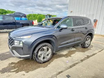 2023 Hyundai Santa Fe 5NMS1DAJ3PH572789 Lot 53744616