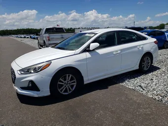 2019 Hyundai Sonata 5NPE24AFXKH734273 Lot 61208906