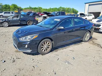 2019 Hyundai Sonata 5NPE24AF9KH761562 Lot 55526536