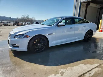 2019 Jaguar XJ-Series SAJXJ1CD0K8W20336