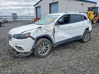 2019 Jeep Cherokee 1C4PJMLX9KD359841 Lot 54781926