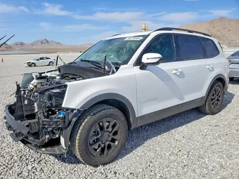 2025 Kia Telluride 5XYP5DGC8SG678774
