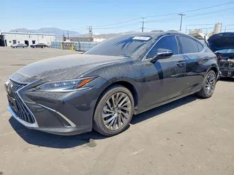 2025 Lexus ES 58AEA1C13SU067916 Lot 57061886