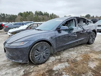 2025 Tesla Model 3 5YJ3E1EA1SF937899 Lot 75794985