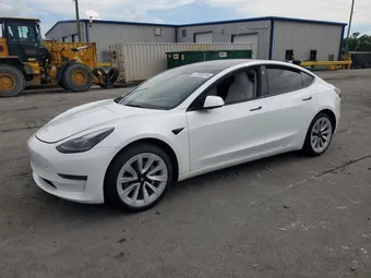 2023 Tesla Model 3 5YJ3E1EA4PF495269 Lot 57355316