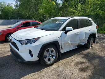 2021 Toyota RAV4 2T3RWRFV0MW124221 Lot 56154876