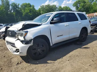 2019 Toyota Sequoia 5TDBY5G18KS171799