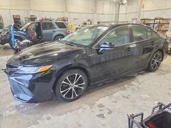 2020 Toyota Camry 4T1J11AK1LU392079 Lot 50104116