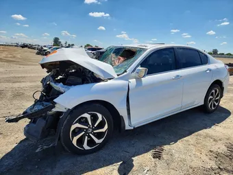 2016 Honda Accord 1HGCR2F75GA132020 Lot 49950696