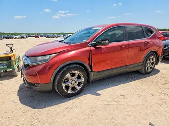 2019 Honda CR-V 5J6RW1H57KL001167 Lot 62349706