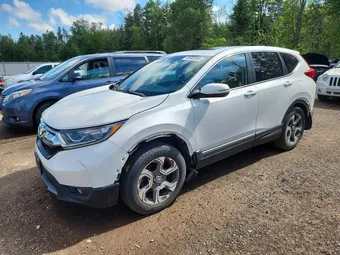 2019 Honda CR-V 2HKRW2H8XKH129171 Lot 60402586