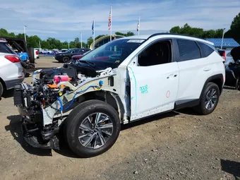 2024 Hyundai Tucson KM8JBCD16RU231442 Lot 58315676