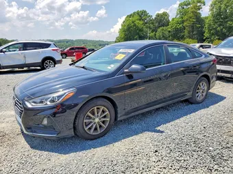 2019 Hyundai Sonata 5NPE24AF1KH748532 Lot 59968996