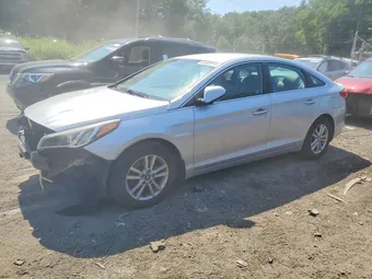 2015 Hyundai Sonata 5NPE24AF4FH201972 Lot 60482516