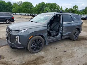 2025 Hyundai Palisade KM8R3DGE1SU845339