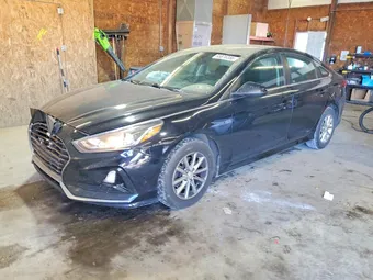 2018 Hyundai Sonata 5NPE24AF0JH666368 Lot 55876356