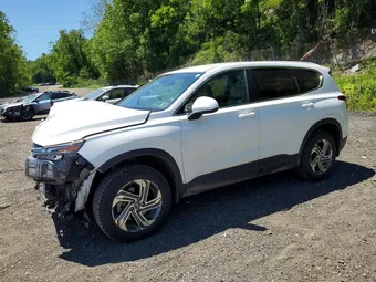 2021 Hyundai Santa Fe 5NMS1DAJ1MH344463 Lot 55117926