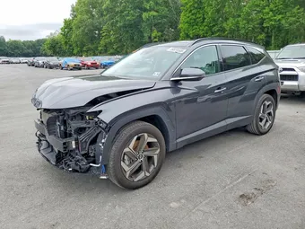 2024 Hyundai Tucson 5NMJECDE6RH297866 Lot 59828506