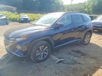 2024 Hyundai Tucson Hybrid KM8JBCD13RU191658 Lot 59875676